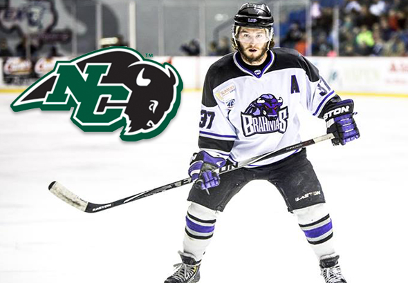 Davidson Commits To Nichols College