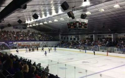 BRAHMAS WIN OVER WILDCATS IN PRESEASON 5-1; SELL OUT GAME