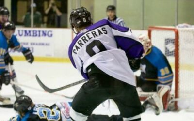Lone Star Brahmas Run Win Streak To Seven Games