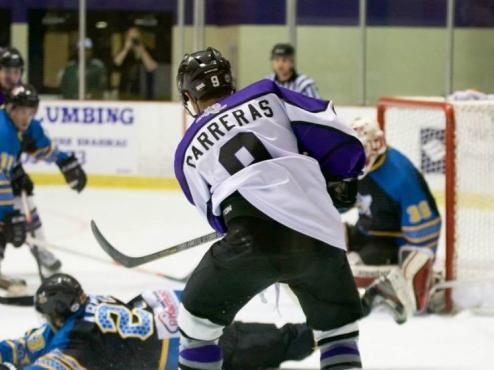 Lone Star Brahmas Run Win Streak To Seven Games