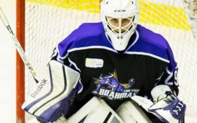 Brahmas Swat Killer Bees On The Road