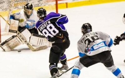 Brahmas –  Wild Playoff Preview