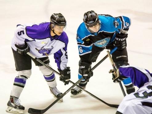 Brahmas –  Wild Game 3 Playoff Preview