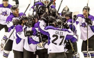 Brahmas – Bruins Robertson Cup Semi-Finals Preview