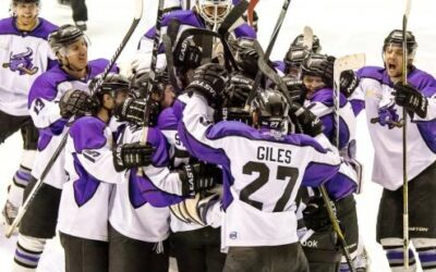 A Look Back at the Brahmas Season