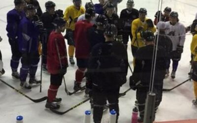 The Brahmas Are Back, Baby