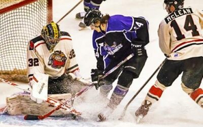 Breaking Down the 2015-16 Brahmas
