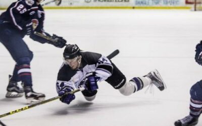 Brahmas Fall In Game Three