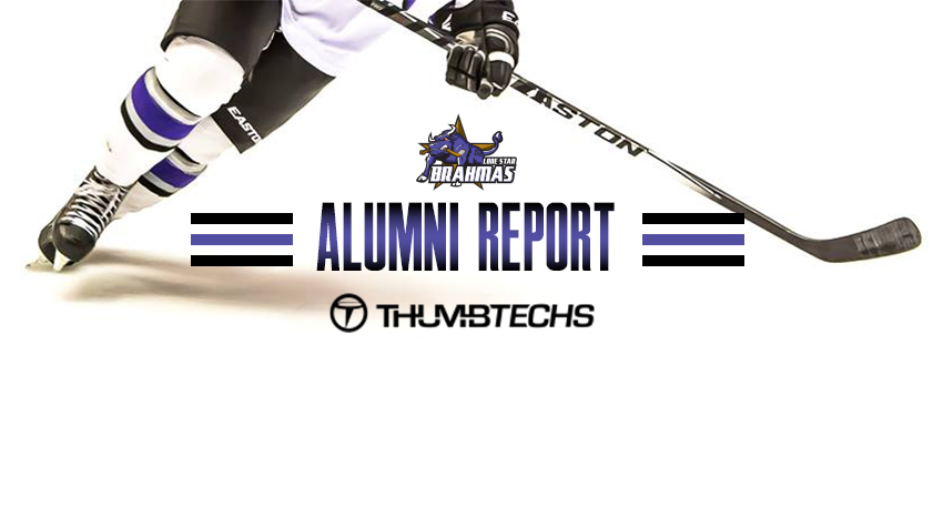 Alumni Update: Mid-Season Report