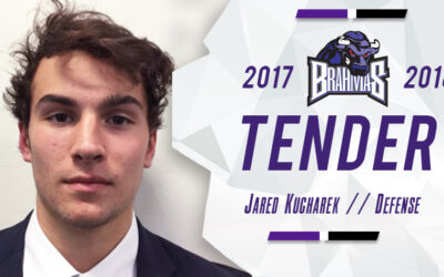 Brahmas Ink Third Tender for 2017-18