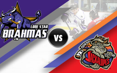 Brahmas – Jackalopes Preview