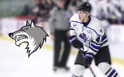 Defenseman Jakub Melisko Joins Pro Team