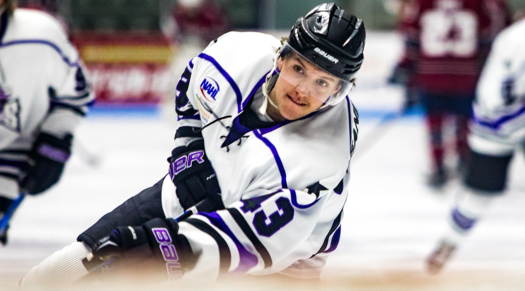 Sandberg Sign Pro in Sweden