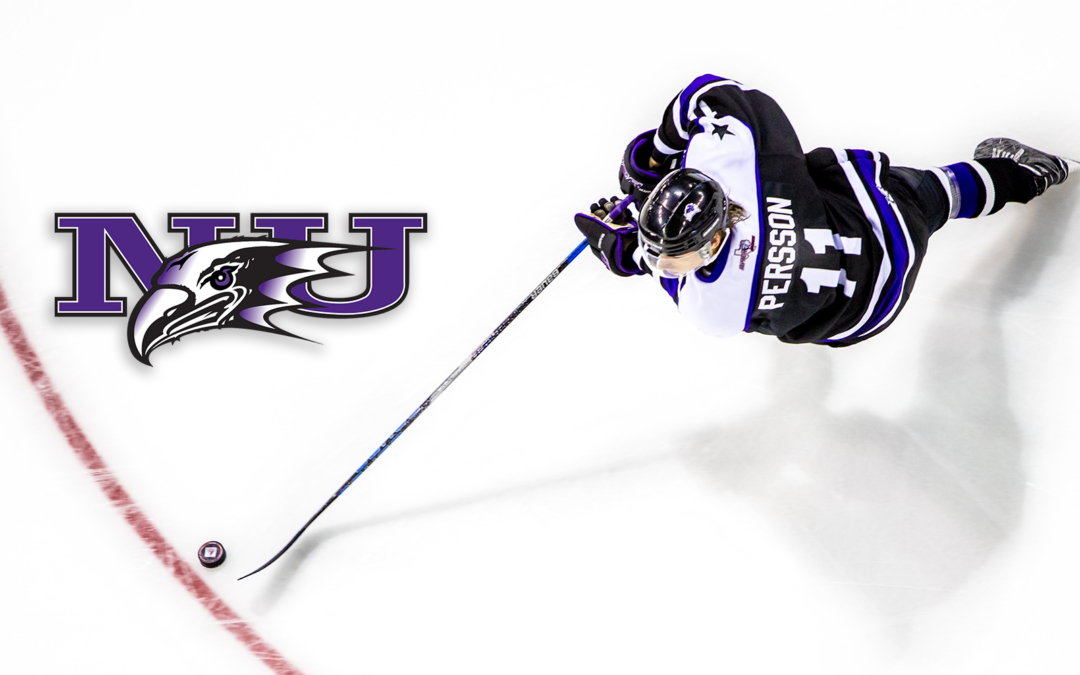 Defenseman Scott Persson Commits to Niagara