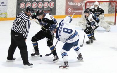 Brahmas Tender Forward Brendan Westbrook