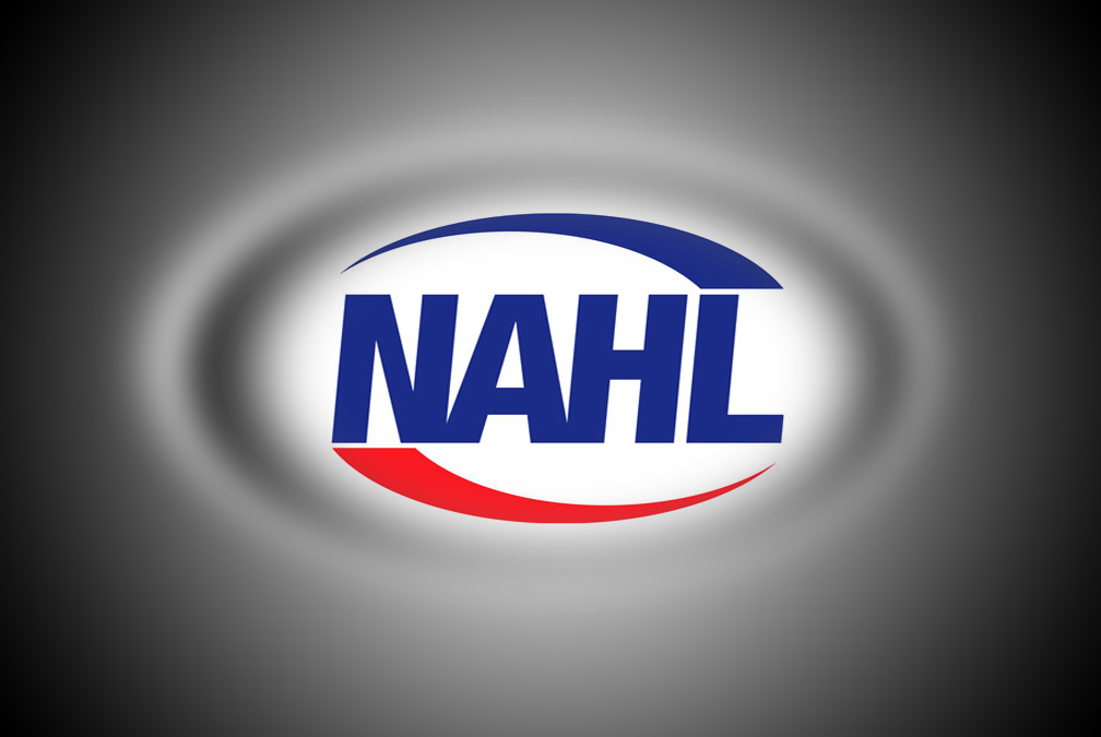 PRESS RELEASE: STATEMENT FROM NAHL COMMISSIONER