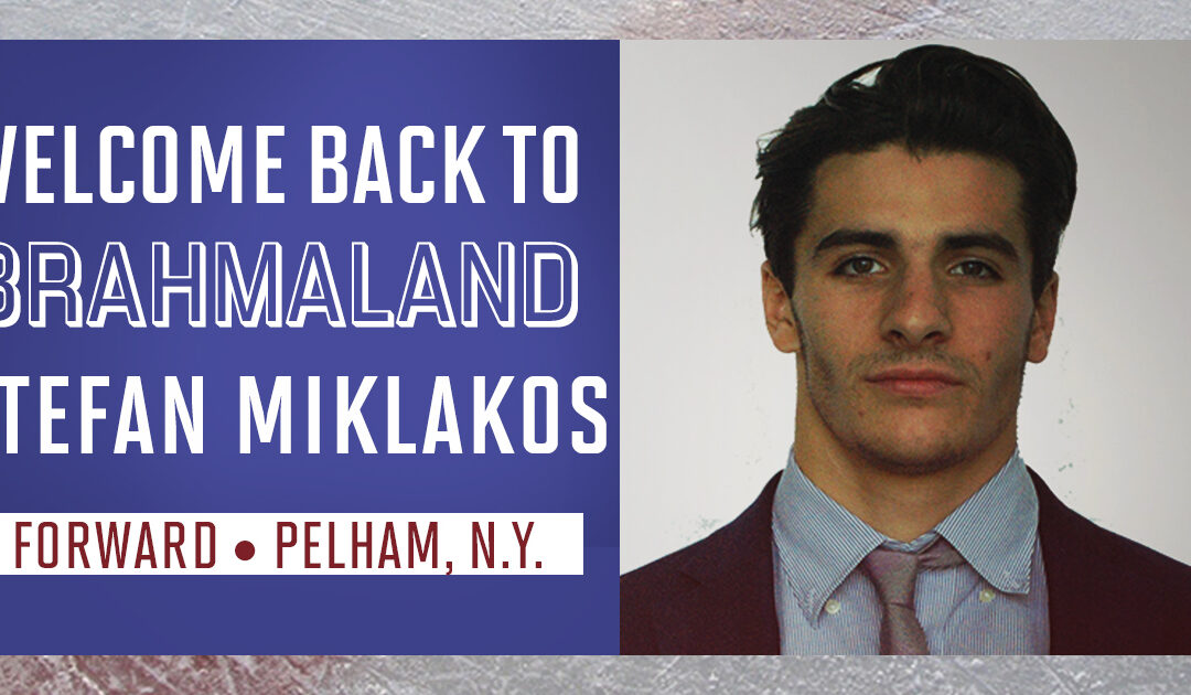 Welcome back to Brahmaland: Stefan Miklakos