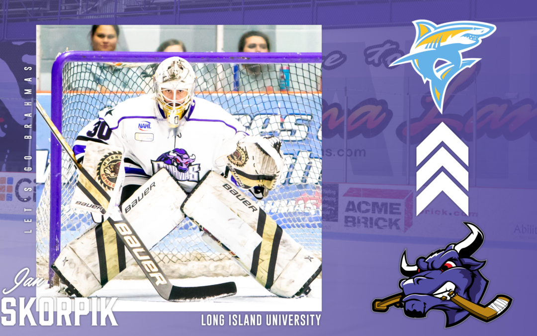 COMMITTED: Skorpik to play for Long Island University
