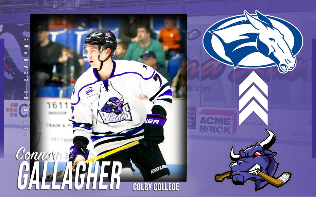 COMMITTED: Gallagher to play at Colby College