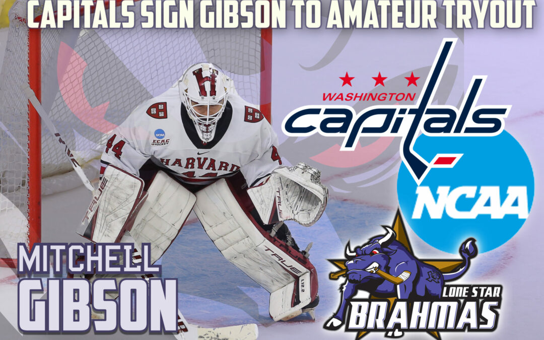 Capitals Sign Gibson to Amateur Tryout Agreement!