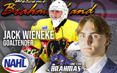 Brahmas Acquire Goaltender Wieneke from Black Bears